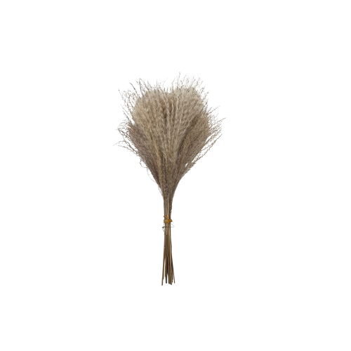 Petit bouquet artificiel fleur de pampa ivoire 40 cm